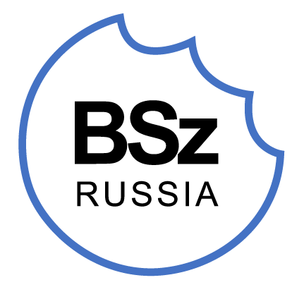 bite size russia logo