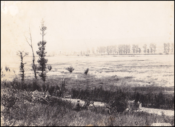 Fig3WWI
