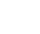 White minimalist shield.