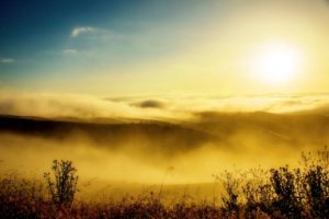 Scenario Development Phase 2