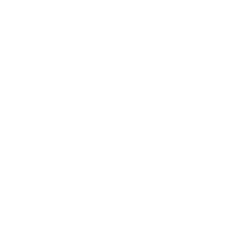 USIP Logo