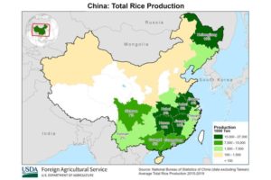 China Total Rice